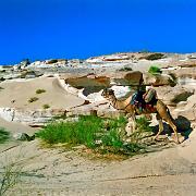 19931020 Sinai 01