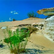 19931020 Sinai 2
