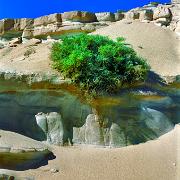 19931027 Sinai 2