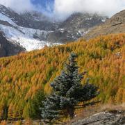 20051022 Saas-Fee 4