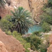20080714 Tunisie 5