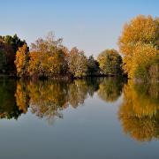 20081022 150048